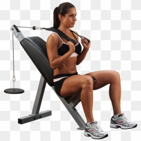 Body Solid Ab Bench, HD Png Download - six pack abs png