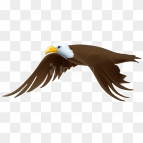 Free Png Download Eagle Transparent Png Images Background - Clipart Bald Eagle Transparent Background, Png Download - eagle png images