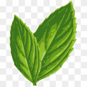 Mint Leaf Clip Art, HD Png Download - spearmint png