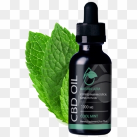 Transparent Spearmint Png - Nature's Ultra Cbd Oil, Png Download - spearmint png