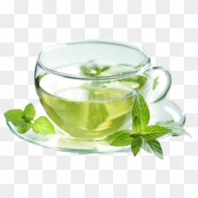 Maofeng - Green Tea Images Png, Transparent Png - spearmint png