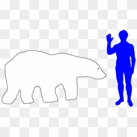 Transparent Polar Bear Clipart Png - Biggest Bichir, Png Download - polar bear clipart png