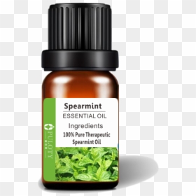 99% Content Spearmint Organic Oil Essential Oil For - Essential Oil, HD Png Download - spearmint png