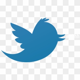 Transparent Mc Hammer Png - Logo Twitter Png, Png Download - logo twitter png transparente