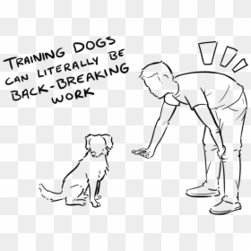 Training Dogs, HD Png Download - dog png images