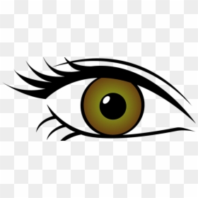 Optical Clipart Contact Lense - Brown Eyes Transparent Background, HD Png Download - eye lens png