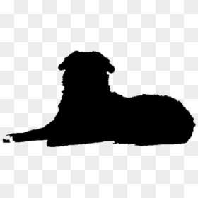 Bernese Mountain Dog Lying Down Png - Terrier, Transparent Png - laying down png