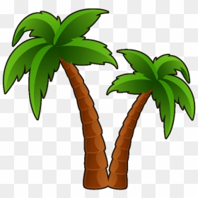 Palm Trees Clipart Png, Transparent Png - real palm tree png