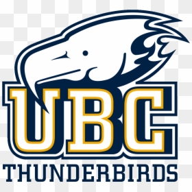 Transparent Thunderbird Clipart - University Of British Columbia Athletics Logo, HD Png Download - eye brows png