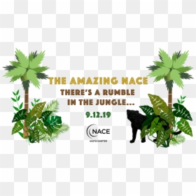 Transparent Jungle Leaf Png - Palm Tree Clip Art, Png Download - jungle leaf png