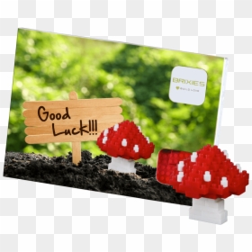 220 033 Pilz Komplett - Postcard, HD Png Download - luck png