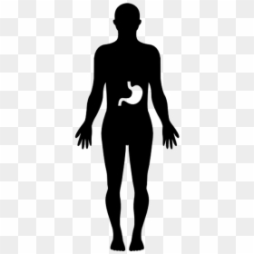Human Body Silhouette Png, Transparent Png - human body outline png