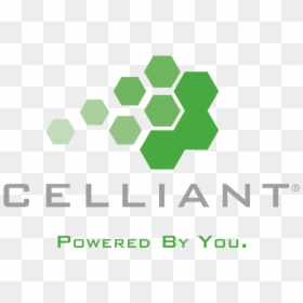Celliant Logo, HD Png Download - human body outline png