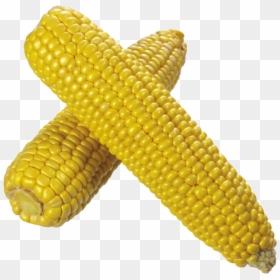 Corn Image Transparent Background Clipart Png - Transparent Background Corn Clipart, Png Download - corn stalks png