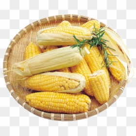 Corn Png Image - Transparent Background Corns Png, Png Download - corn stalks png
