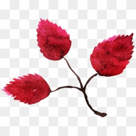 Floral Design, HD Png Download - fall flower png