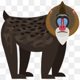 Transparent African Clipart - Transparent Baboon Clipart, HD Png Download - baboon png
