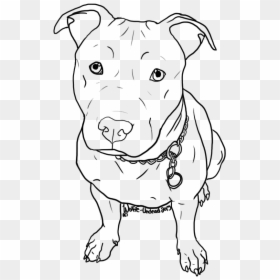 Pitbull Head Png, Transparent Png - pitbull head png