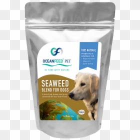 180621 Petpouch Mock Cropped, HD Png Download - dog transparent png