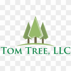 Professional Tree Services - Illustration, HD Png Download - dying tree png