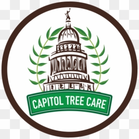 Logo - Texas State Capitol, HD Png Download - dying tree png