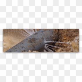 Leakdetection - Fountain, HD Png Download - leak png