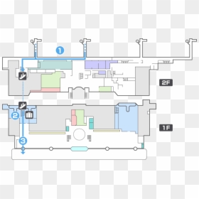 Arrival Procedure For Domestic Flights - 新潟 空港 到着 ロビー, HD Png Download - procedure png