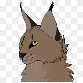 Kitten Wildcat Whiskers Caracal - Caracal Animation, HD Png Download - caracal png