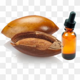 Transparent Hueso Png - Hueso Mamey Png, Png Download - hueso png