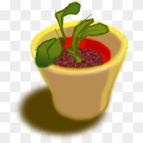 Potted Plant Vegetable Png Clipart , Png Download - Clip Art, Transparent Png - pot plant png