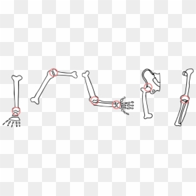 Huesos Copia - Cartoon, HD Png Download - hueso png