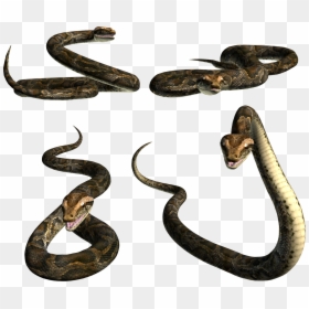 Snakes Png, Transparent Png - png snake
