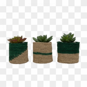Green Mini Planter Baskets, Set Of - Flowerpot, HD Png Download - wicker basket png