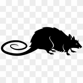 Rat, HD Png Download - rata png