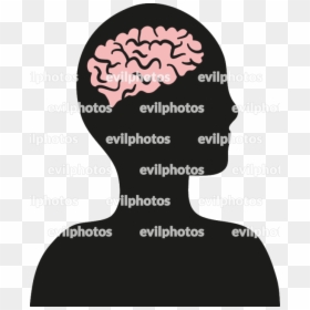 Brain Drawing Vector And Stock Photo - Drawing, HD Png Download - evil tree png