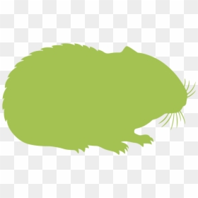 Hamsters » - Illustration, HD Png Download - vegetable silhouette png