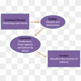 Expression Feeling Link - Facial Feedback Theory, HD Png Download - feelings png