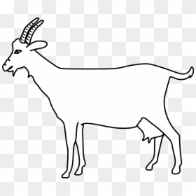Clipart Goat File - Png Image Of Goat Outline, Transparent Png - goats png