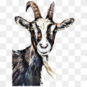 Goat Watercolor Painting, HD Png Download - goats png