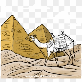 Camels Drawing Pyramid - Camel And Pyramids Drawing, HD Png Download - camels png