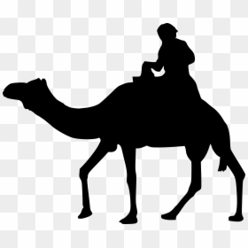 Arabian Camel, HD Png Download - camels png