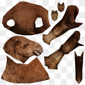 Masai Lion, HD Png Download - camels png