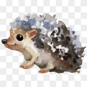 Hedgehog Clipart Watercolor Jpg - Hedgehog Clip Art Watercolor, HD Png Download - wild animals png