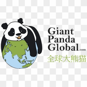 Logo - Giant Panda Logo, HD Png Download - giant panda png