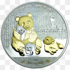 Coin, HD Png Download - giant panda png