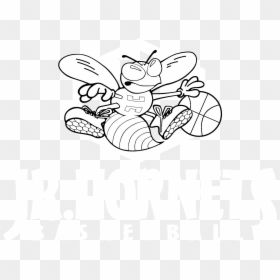 Transparent White Basketball Png - Cartoon, Png Download - white basketball png