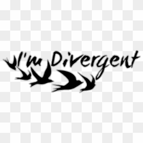 #divergente #tumblr #png - Studenckie Forum Business Centre Club, Transparent Png - divergent png