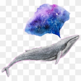 #whale #galaxy #edit #challenge #tumblr - Whale Transparent, HD Png Download - tumblr watercolor png