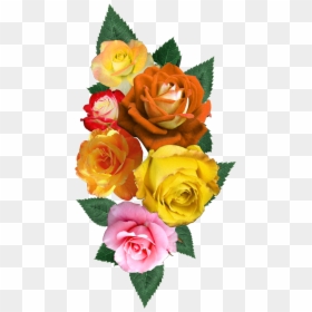Digital Flower Design, Vector,flower,vector Art,flower - Garden Roses, HD Png Download - flower patch png