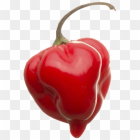 Transparent Png Habanero Pepper, Png Download - ghost pepper png